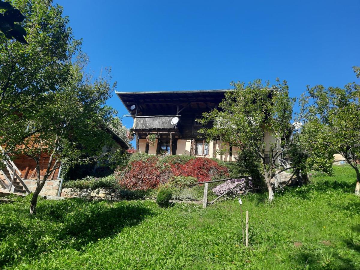 Guest House Kandaferi 2 Елена Екстериор снимка