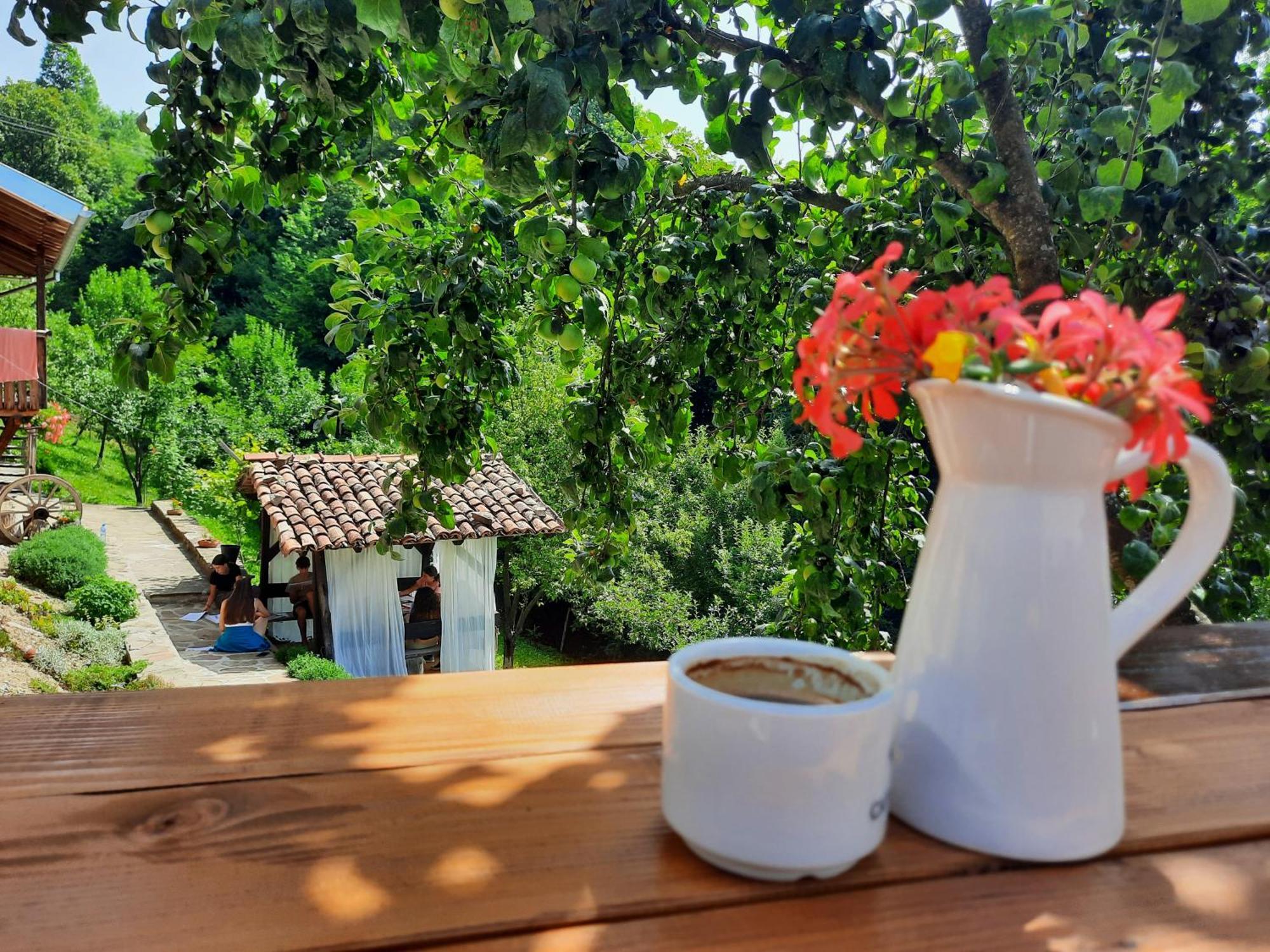 Guest House Kandaferi 2 Елена Екстериор снимка